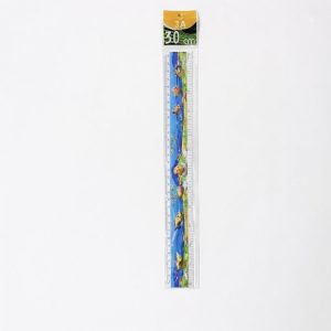 Themed Ruler (Nature/Dinosaur Design)